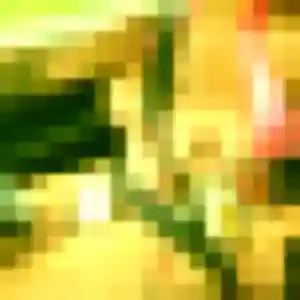 Nolwenn de Bras-Panon, 20 ans - plan cul en toute liberté