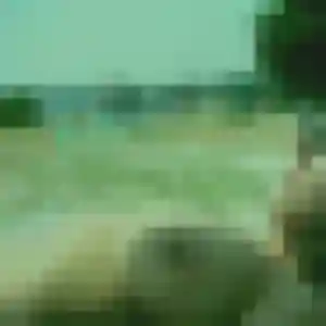 Belle Leana, 21 ans à Breuillet - la contacter