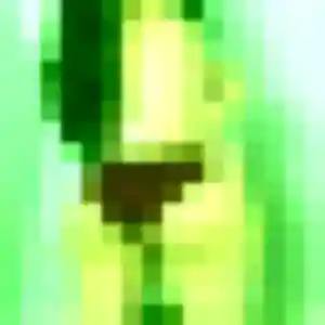 Ninon, 41 ans, cherche un plan cul à Brissac Loire Aubance