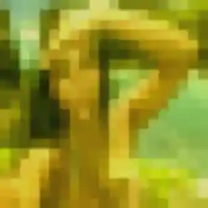 Sexy Johanna, 24 ans à Bruay-la-Buissière - voir sa photo