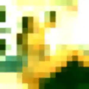 Photo sexy de Priscilla, 33 ans à Bry-sur-Marne - rencontre coquine