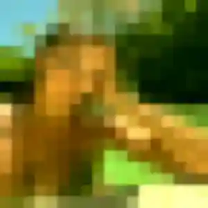 Photo exclusive de Zina, 19 ans à Buc - rencontre sans lendemain