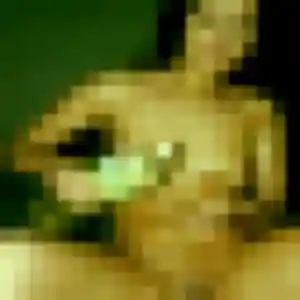 Kelly, fille de 34 ans propose plan cul à Cabriès