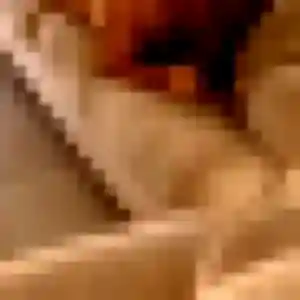 Noemie, fille de 43 ans veut plan cul à Cabriès