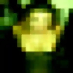 Rencontre Ximena, 26 ans à Cadaujac en privé