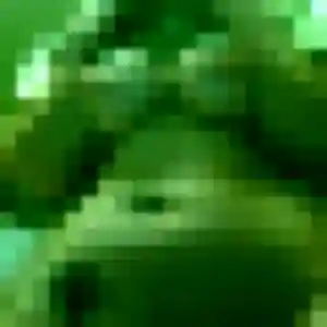 Rencontre Berenice, 20 ans à Calvisson en t'inscrivant