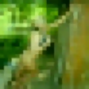 plan cul à Cannes : photo de Francine, 35 ans - sans engagement