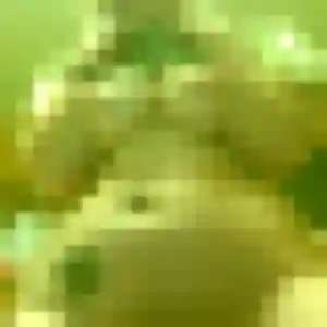 Photo exclusive de Katia, 31 ans à Cappelle-la-Grande - rencontre sans lendemain