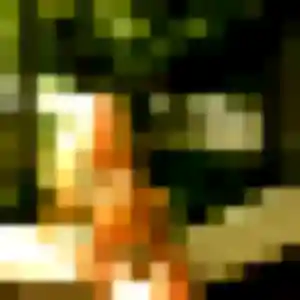 Rencontre Adeline, 45 ans à Carbon-Blanc en t'inscrivant