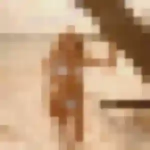 Francine, fille de 39 ans cherche plan cul à Castanet-Tolosan