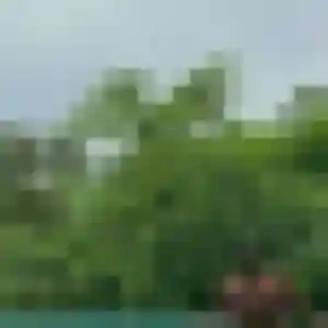 Marine, femme de 37 ans cherche plan cul à Castres