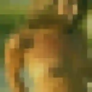 Charmante Emeraude, 20 ans à Castries - voir sa photo