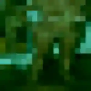 Raphaelle (41 ans) à Caudan cherche une rencontre rapidement