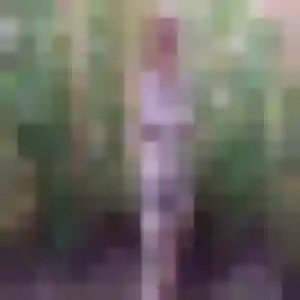 Tessa (23 ans) à Caudan cherche une rencontre aujourd'hui