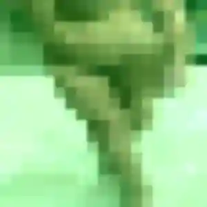 Profil de Deborah à Caudebec-lès-Elbeuf (37 ans) - plan cul gratuit