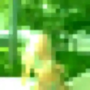 Rosemarie, fille de 44 ans propose plan cul à Cenon