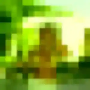 Zara, 25 ans, en ligne à Cenon pour un plan cul