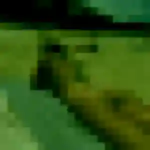 Rencontre Dina, 36 ans à Cergy en privé