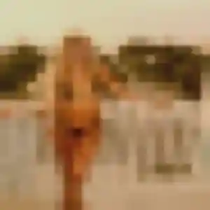 Profil de Pauline à Cestas (25 ans) - plan cul anonyme