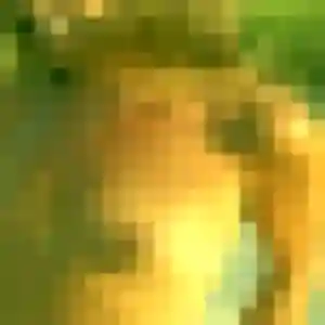 Photo exclusive de Touria, 20 ans à Cestas - plan discret