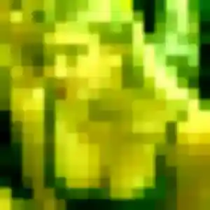 Domitille, 25 ans, cherche un plan cul à Challans