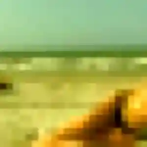 Profil de Tatyana à Chalonnes-sur-Loire (43 ans) - plan cul discret