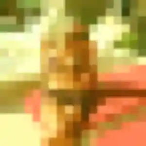 Belle Brune, 35 ans à Châlons-en-Champagne - découvrir son profil