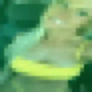 Coralie, femme de 19 ans cherche plan cul à Chambéry