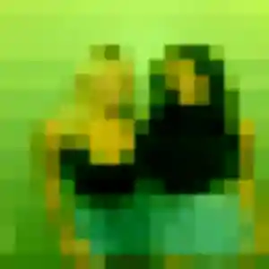 Nelly, 25 ans, veut un plan cul à Chambly