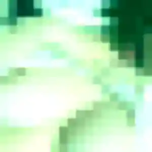 Agnes de Champagne-au-Mont-d'Or, 23 ans - plan cul sans prise de tête