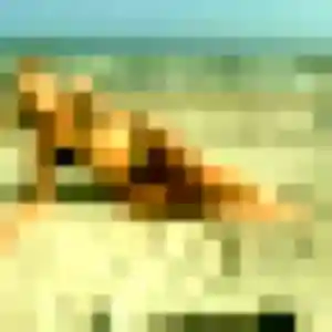 Rencontre Elvire, 35 ans à Champagne-au-Mont-d'Or en t'inscrivant