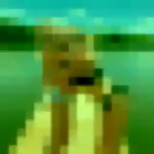 Emma, fille de 24 ans veut plan cul à Changé