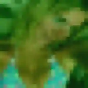 Bianca (32 ans) à Chantepie propose une rencontre maintenant