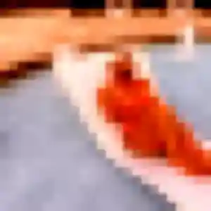 Jolie Sylviane, 45 ans à Chantonnay - découvrir son profil