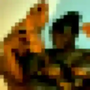 Estee (21 ans) à Chartres-de-Bretagne attend une rencontre maintenant