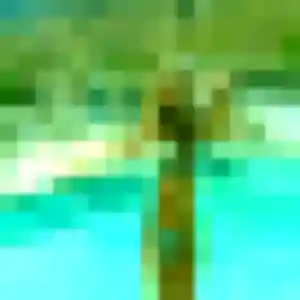 Yael, fille de 36 ans propose plan cul à Chartres-de-Bretagne