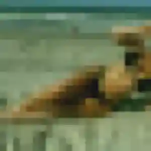 Maya, 35 ans, cherche un plan cul à Chasse-sur-Rhône