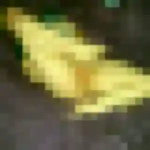 Sylvie, 25 ans, en ligne à Chassieu pour une rencontre coquine