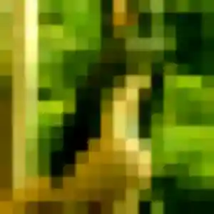 Mila (35 ans) à Châteauneuf-les-Martigues attend une rencontre ce soir