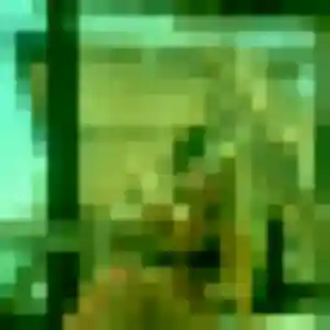 Photo exclusive de Laura, 39 ans à Châteaurenard - rencontre sans lendemain