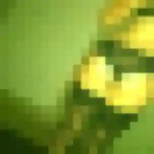 Photo de Laura à Chécy (32 ans) - plan cul anonyme