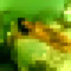 Honorine (42 ans) à Chevigny-Saint-Sauveur cherche une rencontre maintenant