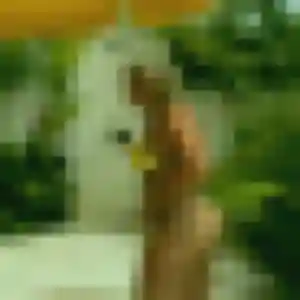 Fleur, 32 ans, veut un plan cul à Clapiers