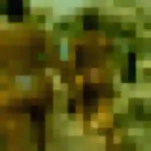 Photo de Phoebe à Clermont-l'Hérault (33 ans) - plan cul anonyme