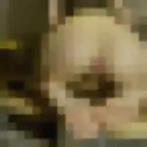 Jessica, 22 ans, cherche un plan cul à Clichy-sous-Bois