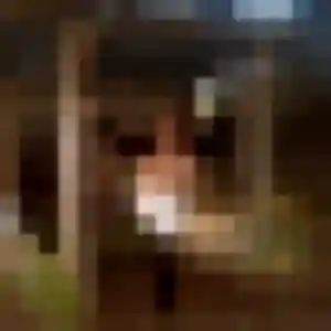 Cyrielle, 42 ans, disponible à Clichy pour un plan cul