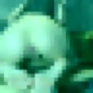 Fatima, 25 ans, disponible à Combs-la-Ville pour un plan cul