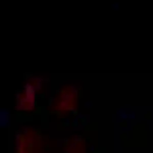 Belle Josiane, 33 ans à Comines - voir sa photo