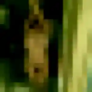 Maya, 29 ans, en ligne à Comines pour une rencontre coquine