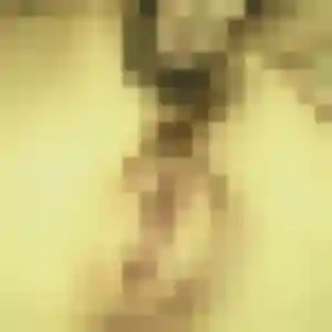 Contacte Renee, 30 ans à Concarneau en t'inscrivant